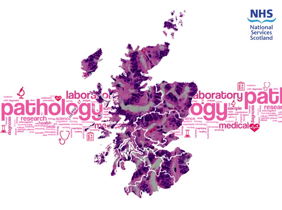 Photo of map of Scotland with a pathology wordle in the background; the NHS Scotland logo is in the top right corner
