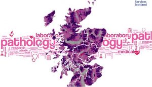 Map of Scotland over a wordle of pathology terms
